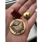 Значок. МВД СССР Отличный Пропагандист