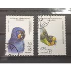 Мадагаскар. 192 год. Фауна. Птицы. Попугаи