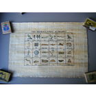 ПАПИРУС Иероглифический Алфавит.  из Египта. 33х23см.