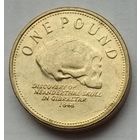 Гибралтар 1 фунт 2009 г.