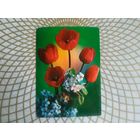 Открытка СССР 1983 год.   Чистая. Г.Костенко . Состояние на скане.