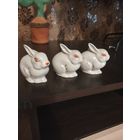 Зайцы,Полонский ф/з.