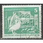 ГДР. Берлинский зоопарк. Пеликан. 1973г. Mi#1842.