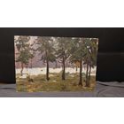 Довгялло Михаил Хрисанфович 1908-1978г. Член С/Х БССР Р 33-49см