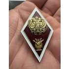 Значок Ромб. "Об окончании ВУЗа искусства и культуры" России