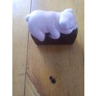 Поросенок на камне.