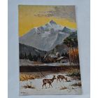 До 1917 года  открытка