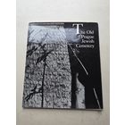 Старое Еврейское Кладбище в Праге - 9