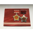 Почетный знак ДОСААФ СССР