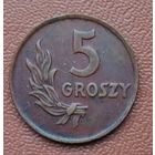 Польша 5 грошей, 1949 Бронза /коричневый цвет/