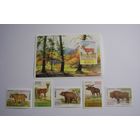 Фауна Беларуси. 5м. + блок. 1996