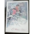 1979 год Л.Манилова С Новым Годом