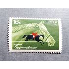 Марка СССР 1968 год Коневодство