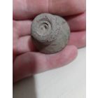 Лот по старине