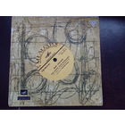 Дан Спатару