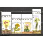 ФФ1 Украина 2014 Кактусы