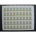 Продажа коллекции с 1 рубля! Чистые почтовые марки РБ в листах.