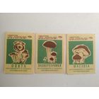 Спичечные этикетки ф.Гигант. Потребительская кооперация. 2-й выпуск. 1968 год