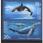 Россия 2012. Киты. 2м сцепка 1556-57 (907)