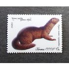 Марка СССР 1980 год Пушные звери