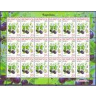 Беларусь 2004 седьмой стандарт ягоды флора черника