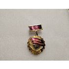 Победитель соцсоревнования 1977