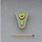 Поплавок об окончании сельскохозяйственного техникума СССР. ММД. Легкий.