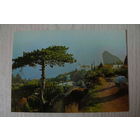 Крымский пейзаж; чистая, Аэрофлот.