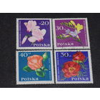 Польша 1964 г. Цветы.