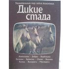 Джон Нири. Дикие стада