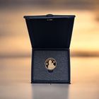 Славянка 50 рублей золото футляр для монеты