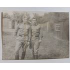 Фото в коллекцию