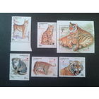 Азербайджан 1997 Кошачьи, надпечатка Кр. крест полная серия