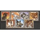 ФФ1 Монголия 1984 Собаки