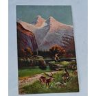 До 1917 года  открытка