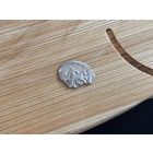 Денарий Казимира Ягеллончика (1440-1492) Колюмна-Всадник