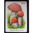 Карманный календарь 2026 г. "ПОДОСИНОВИК КРАСНЫЙ". Тираж - 2000 шт.