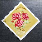 Марка Венгрия 1963 год Цветы