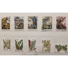 РАСПРОДАЖА КОЛЛЕКЦИИ. СССР, марки "флора"