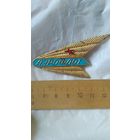 Кокарда. Аэрофлот.