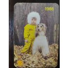 Календарик карманный страхование