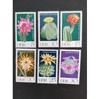 ГДР 1970 Полная серия марок "Кактусы" (чистые**) Mi.1625-1630 каталог 3.00 евро
