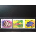 Суринам 1977 Рыбы, Авиапочта** Михель-6,3 евро