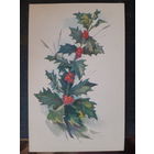 Открытка Куртенко. Лех. 1977г., чистая. (1)