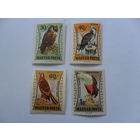 Венгрия, птицы