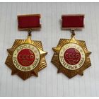 Два тяжелых.ДОСААФ Почетный знак.СССР.