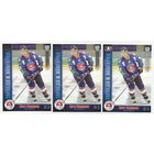 Мэтт Эллисон / "Торпедо" Нижний Новгород / золотая, серебряная и базовая вариации/  Коллекция "SeReal Карточки КХЛ 2010-2011".