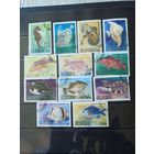 Гвинея. 1980. Рыбы.