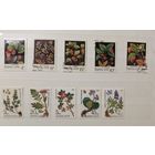 РАСПРОДАЖА КОЛЛЕКЦИИ. СССР, марки "флора"