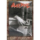 Bleeding "Carnal Altars" кассета